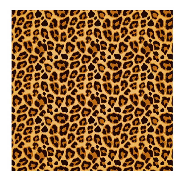 Fahrradfolie Leopard Muster - Kategorie Shop