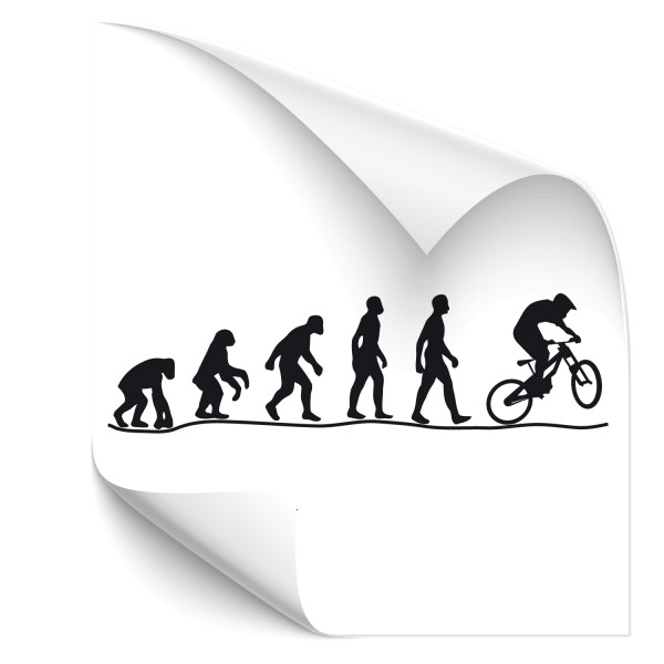 Evolution Downhill Wandsticker